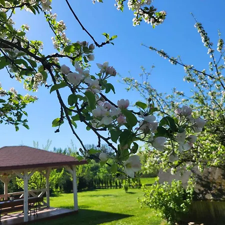 Dom wakacyjny U Lusi Wygryny