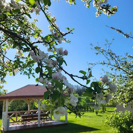 U Lusi Dom wakacyjny Wygryny