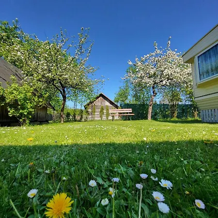 U Lusi Dom wakacyjny *